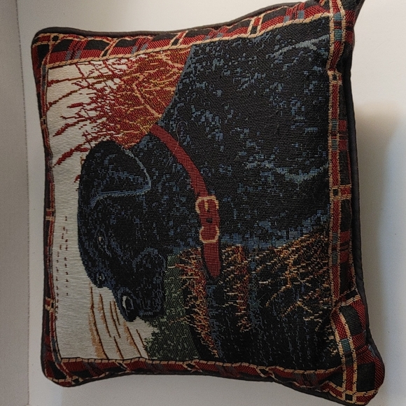 Other - 13x13 accent pillow with dog
